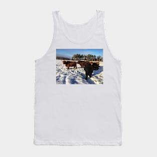 Scottish Highland Cattle Bulls 1662 Tank Top